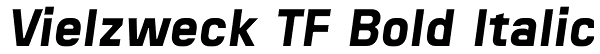 Vielzweck TF Bold Italic Font