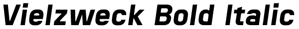 Vielzweck Bold Italic Font