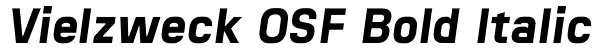 Vielzweck OSF Bold Italic Font