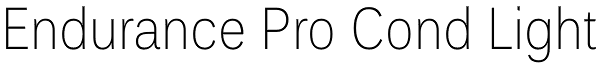 Endurance Pro Cond Light Font