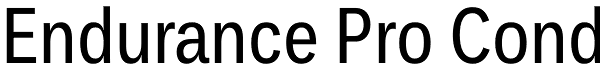 Endurance Pro Cond Font