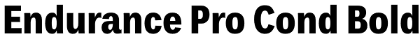 Endurance Pro Cond Bold Font