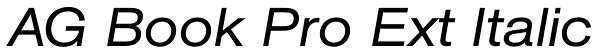 AG Book Pro Ext Italic Font