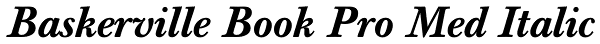 Baskerville Book Pro Med Italic Font