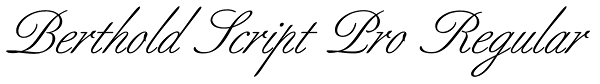 Berthold Script Pro Regular Font