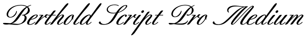 Berthold Script Pro Medium Font