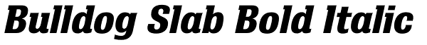 Bulldog Slab Bold Italic Font