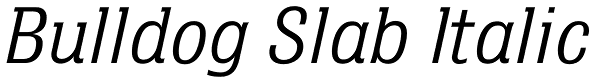 Bulldog Slab Italic Font