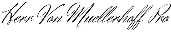 Herr Von Muellerhoff Pro Font