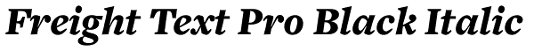 Freight Text Pro Black Italic Font