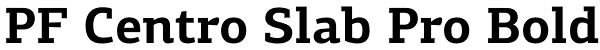 PF Centro Slab Pro Bold Font