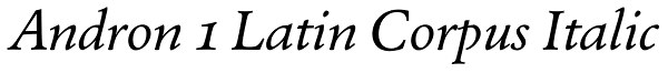 Andron 1 Latin Corpus Italic Font