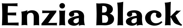 Enzia Black Font