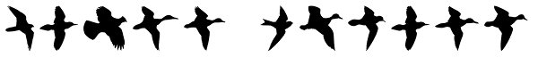 Birds Flying Font