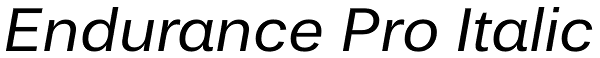 Endurance Pro Italic Font