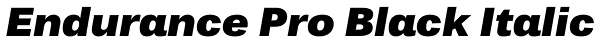 Endurance Pro Black Italic Font