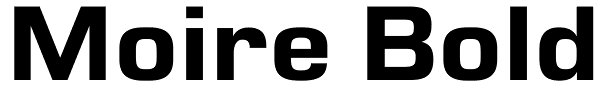 Moire Bold Font