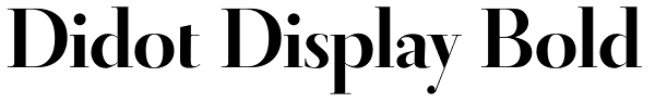 Didot Display Bold Font