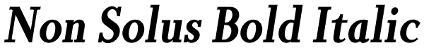 Non Solus Bold Italic Font