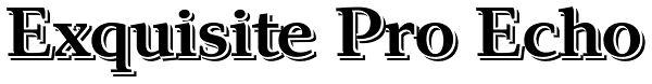 Exquisite Pro Echo Font