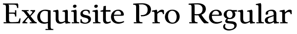 Exquisite Pro Regular Font