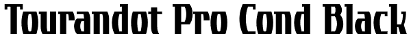 Tourandot Pro Cond Black Font
