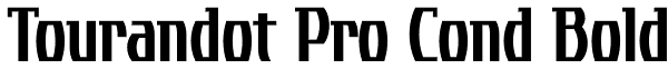 Tourandot Pro Cond Bold Font
