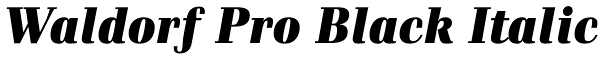 Waldorf Pro Black Italic Font