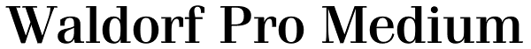 Waldorf Pro Medium Font