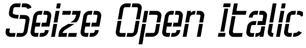 Seize Open Italic Font