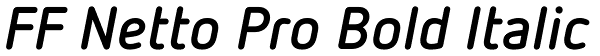 FF Netto Pro Bold Italic Font