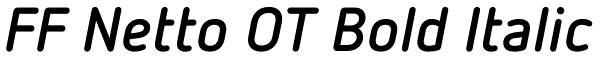 FF Netto OT Bold Italic Font