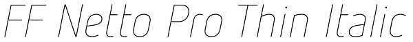 FF Netto Pro Thin Italic Font