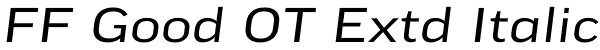 FF Good OT Extd Italic Font