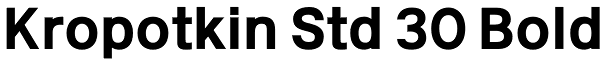 Kropotkin Std 30 Bold Font