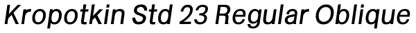 Kropotkin Std 23 Regular Oblique Font