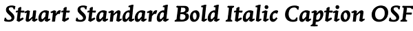 Stuart Standard Bold Italic Caption OSF Font