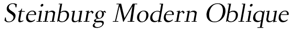 Steinburg Modern Oblique Font