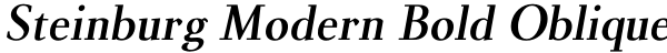 Steinburg Modern Bold Oblique Font