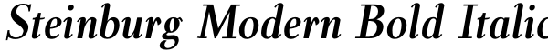 Steinburg Modern Bold Italic Font