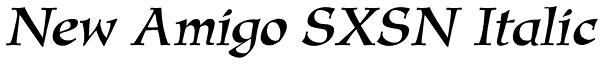 New Amigo SXSN Italic Font