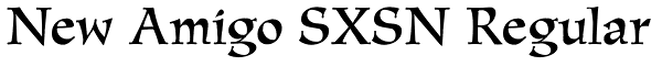 New Amigo SXSN Regular Font