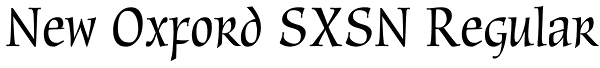 New Oxford SXSN Regular Font