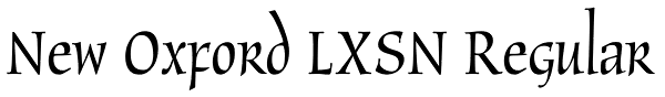 New Oxford LXSN Regular Font