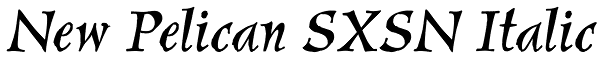 New Pelican SXSN Italic Font