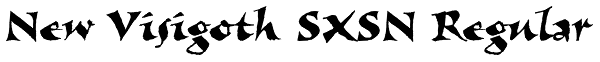 New Visigoth SXSN Regular Font