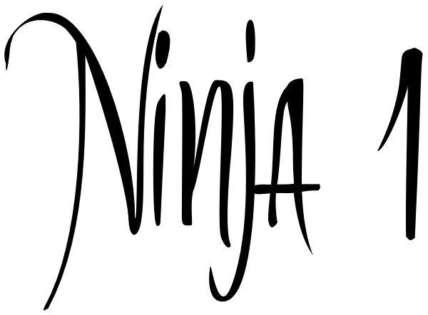 Ninja 1 Font