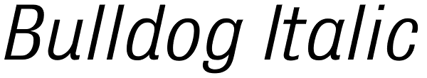 Bulldog Italic Font