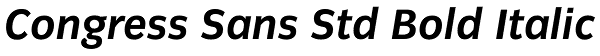 Congress Sans Std Bold Italic Font