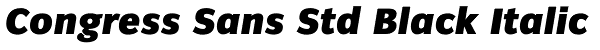 Congress Sans Std Black Italic Font